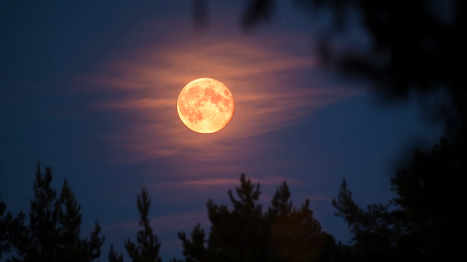 Vollmond Juni 2024