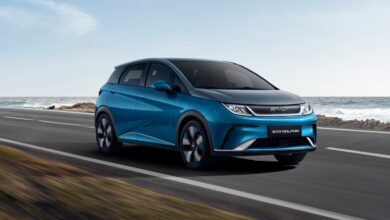 byd dolphin leasing