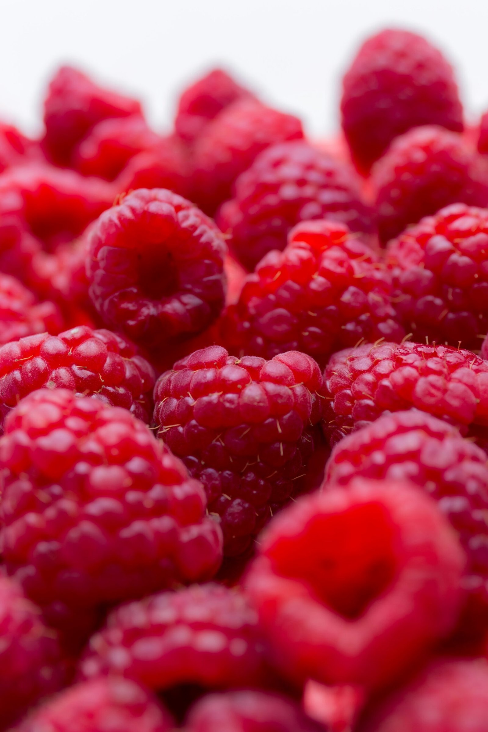 himbeeren düngen