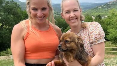 syedazahraminivlogs@gmail.com