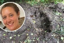 Valerie von Medinger gefunden