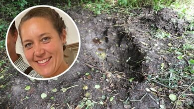 Valerie von Medinger gefunden